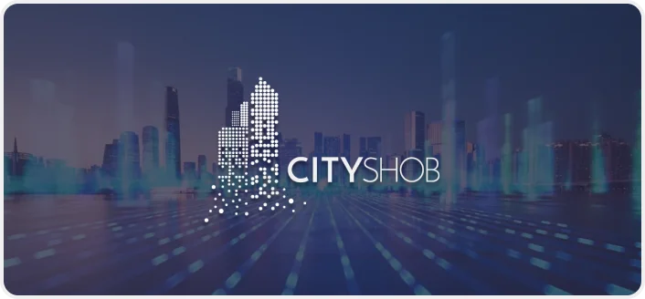 IoT development case study by Milies software development company