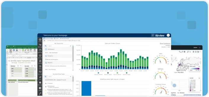 Budgeting software development by Milies software development company