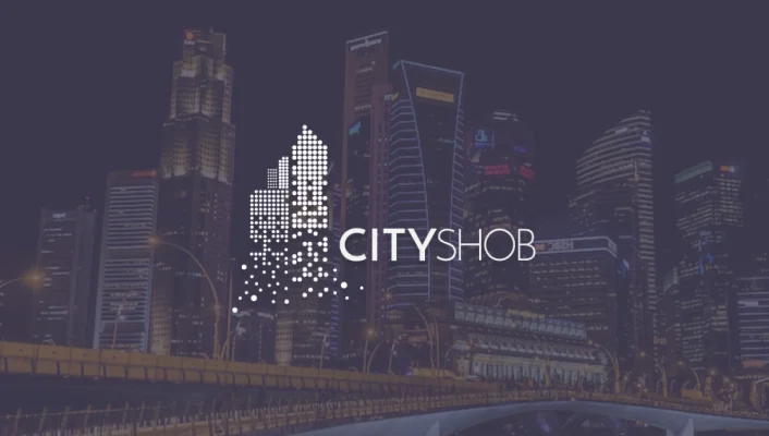 CityShob: IoT analytics platform development for smart cities case study by Milies